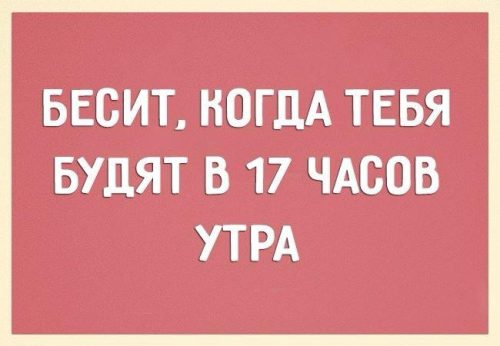 Изображение WhatsApp 2025-04-28 в 11.55.34_b7b59b14