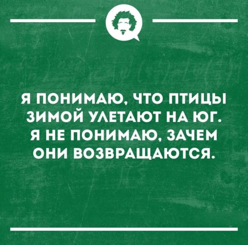 Изображение WhatsApp 2025-04-28 в 11.55.36_d8493d86