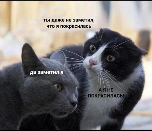 Изображение WhatsApp 2025-04-28 в 11.55.40_7ef2120e