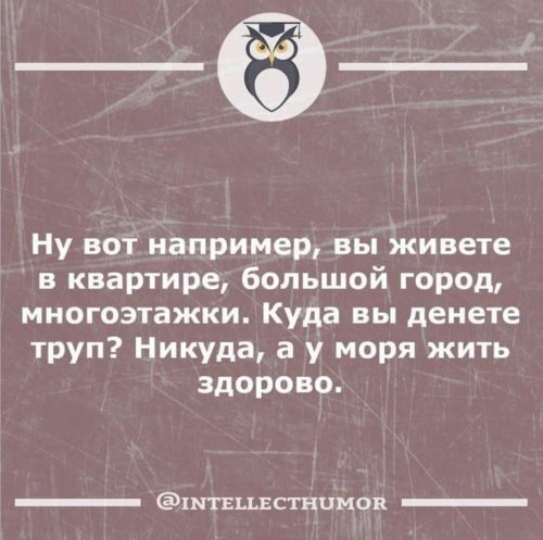 Изображение WhatsApp 2025-04-28 в 11.55.40_9fea611c