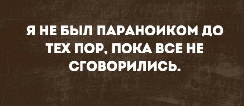 Изображение WhatsApp 2025-04-28 в 11.55.57_90fb841a