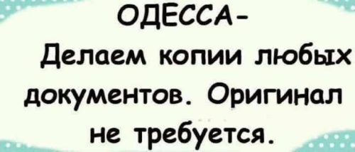 Изображение WhatsApp 2025-04-28 в 11.55.58_8d93c965