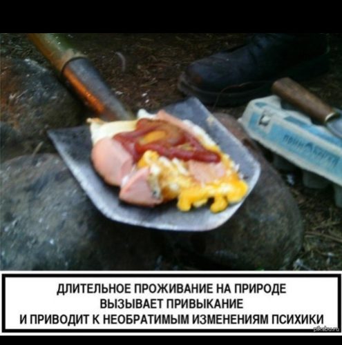 img-20250519-wa0017