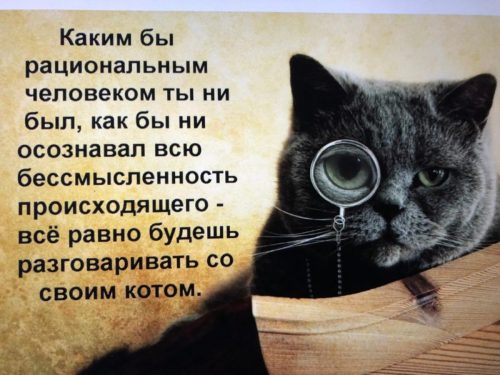 img-20250519-wa0031
